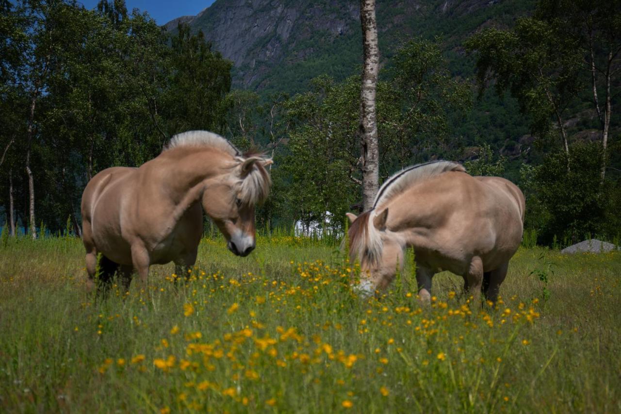 Olden Glamping - One With Nature Stryn Esterno foto